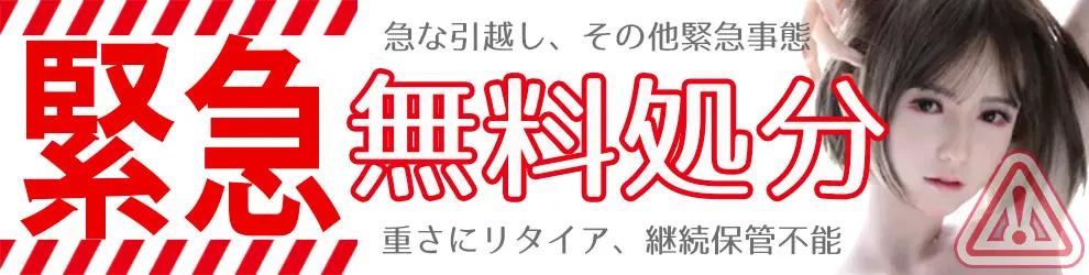 ラブドールの無料処分ならブルーティアーズ | ラブドール高価買取・無料処分 ブルーティアーズ